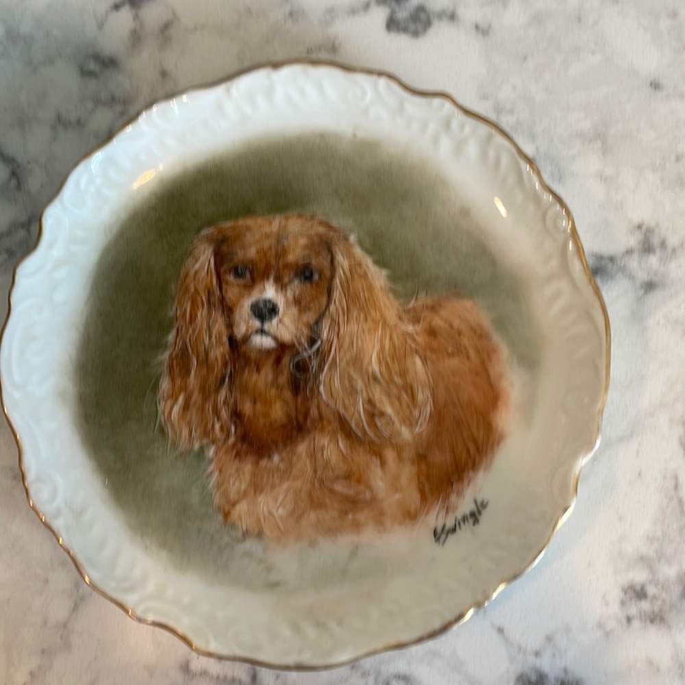 Hand painted Ruby cavalier plate